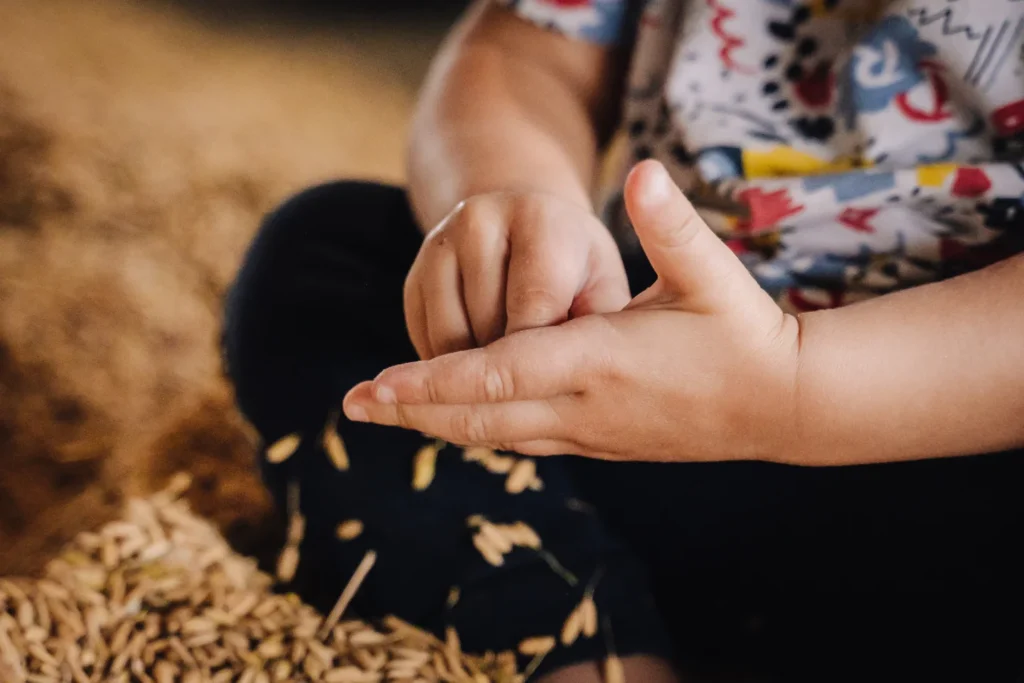 droni agricoli biostimolanti riso biologico